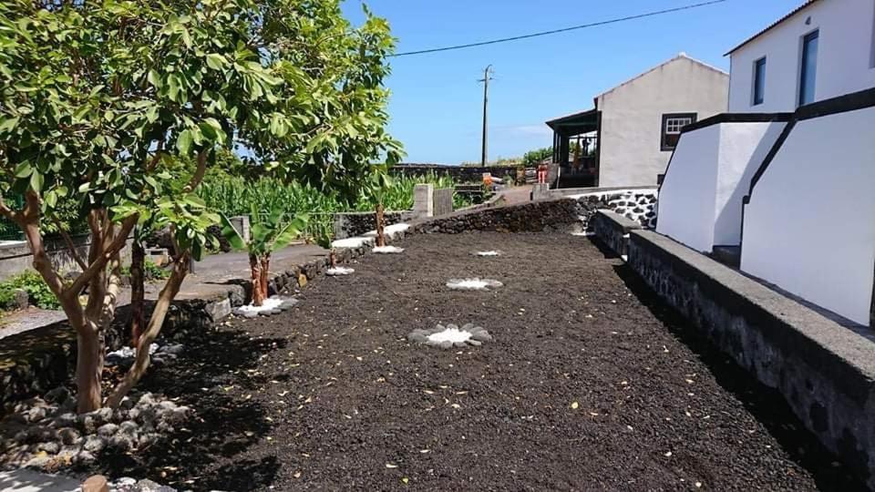 Azores Black Mountain House, Estudio E T2 Ilha Do Pico São Roque do Pico Dış mekan fotoğraf